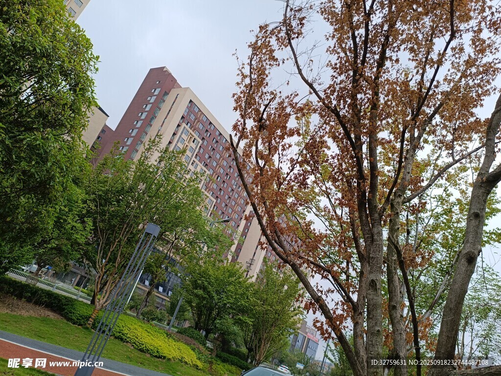 秋日校园景色