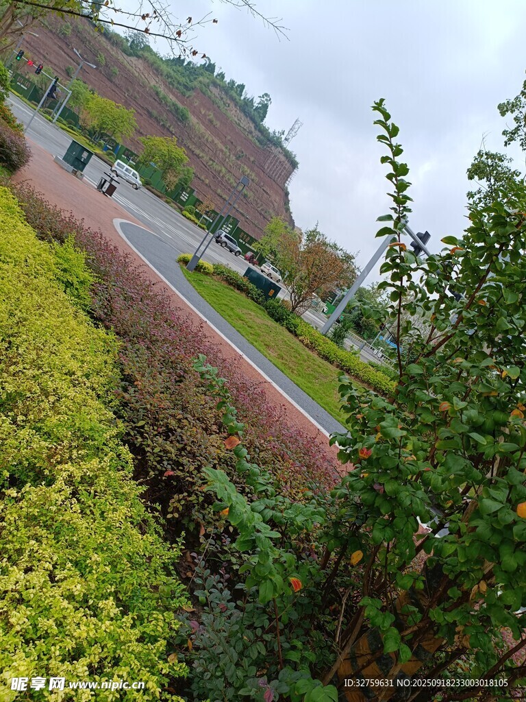 城市绿植景观一角