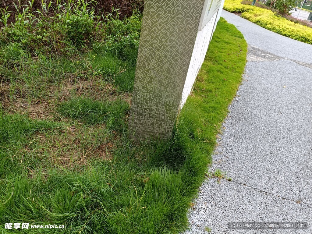 路边绿草与灰白石柱景观