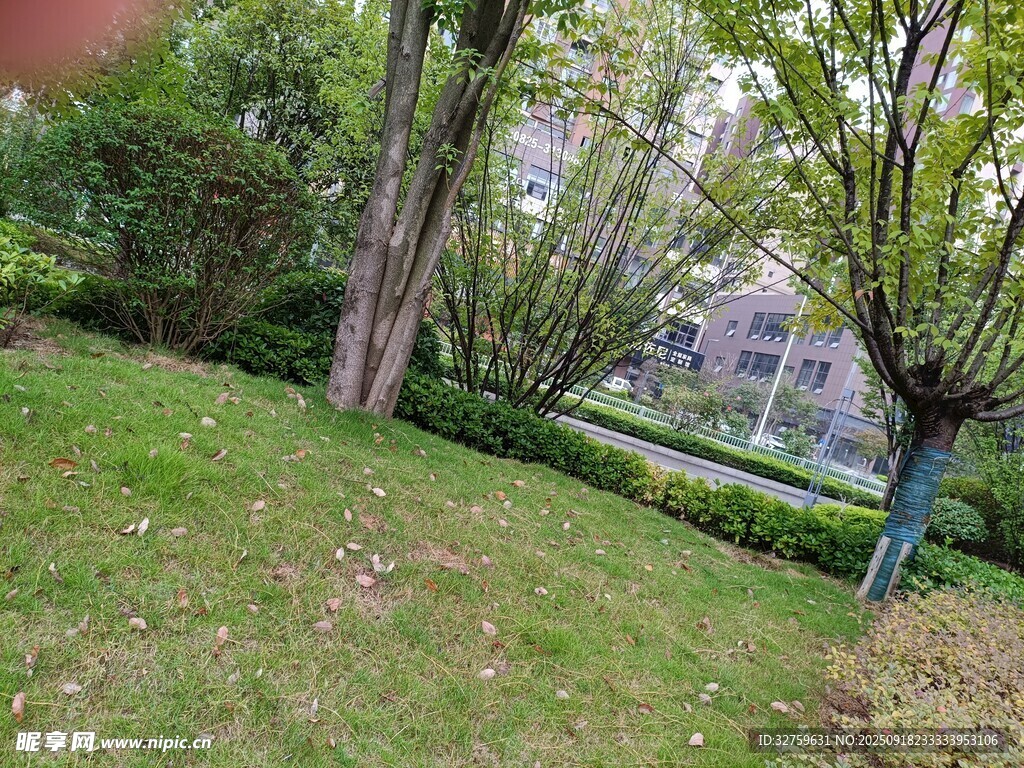 小区内绿意盎然的草坪景观