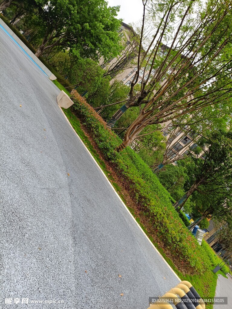 小区道路旁的绿植景观