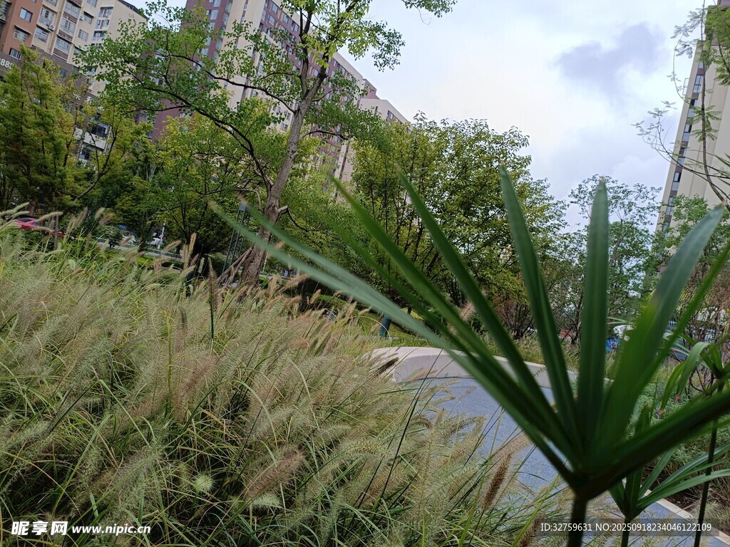 户外绿植景观一角