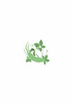 清新绿叶装饰图案