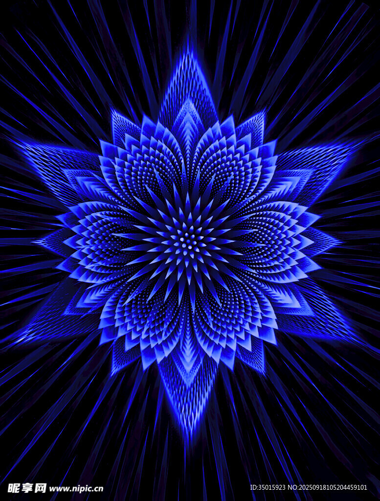 定位花