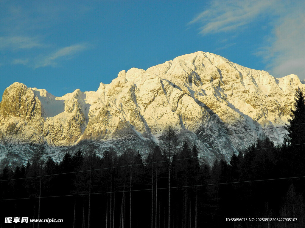 雪山晨曦下的森林美景
