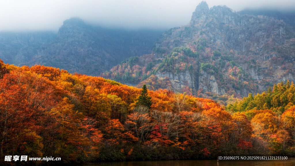 秋日山林美景