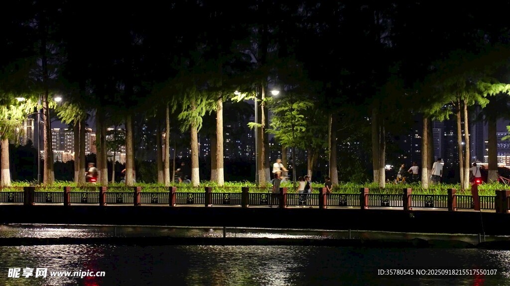 夜景视频素材