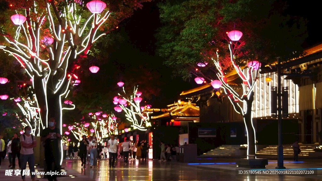 夜景视频素材