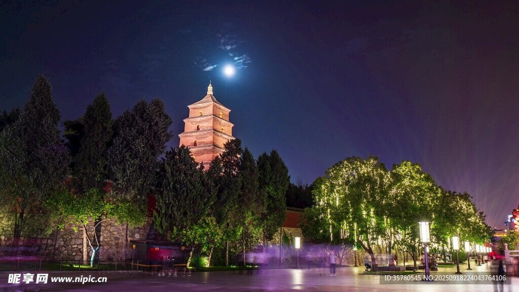 夜景视频素材