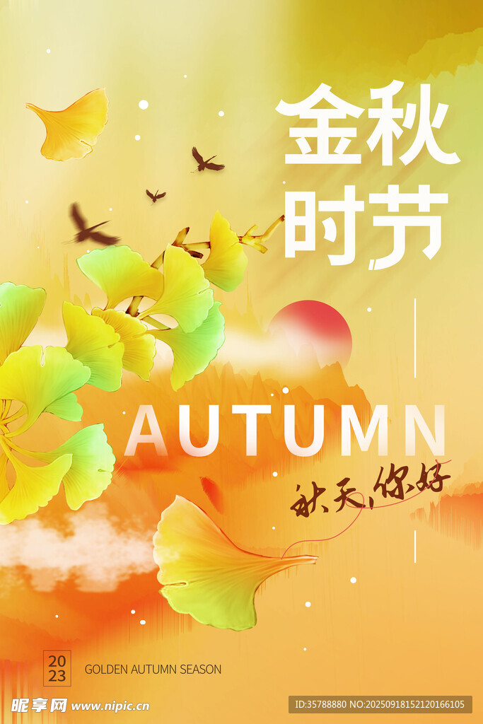 金秋时节银杏美景