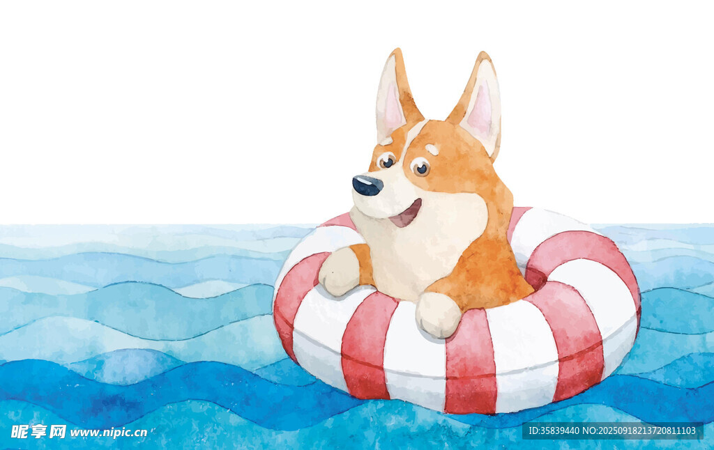 漂浮在海上的柯基犬
