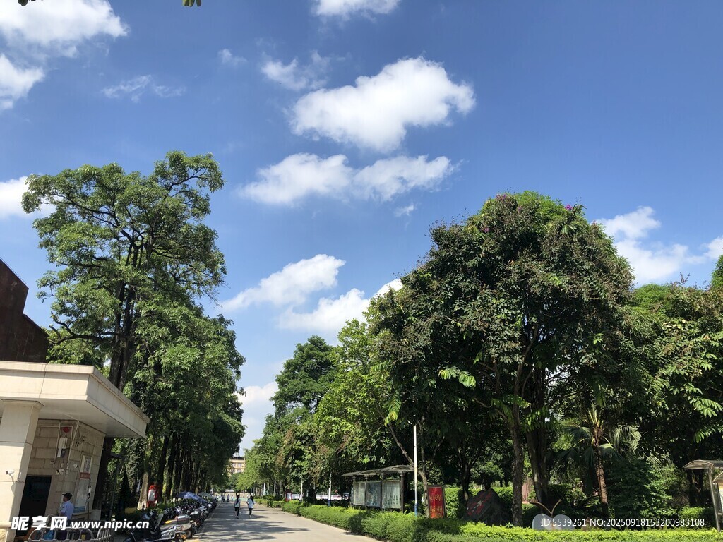 校园风景