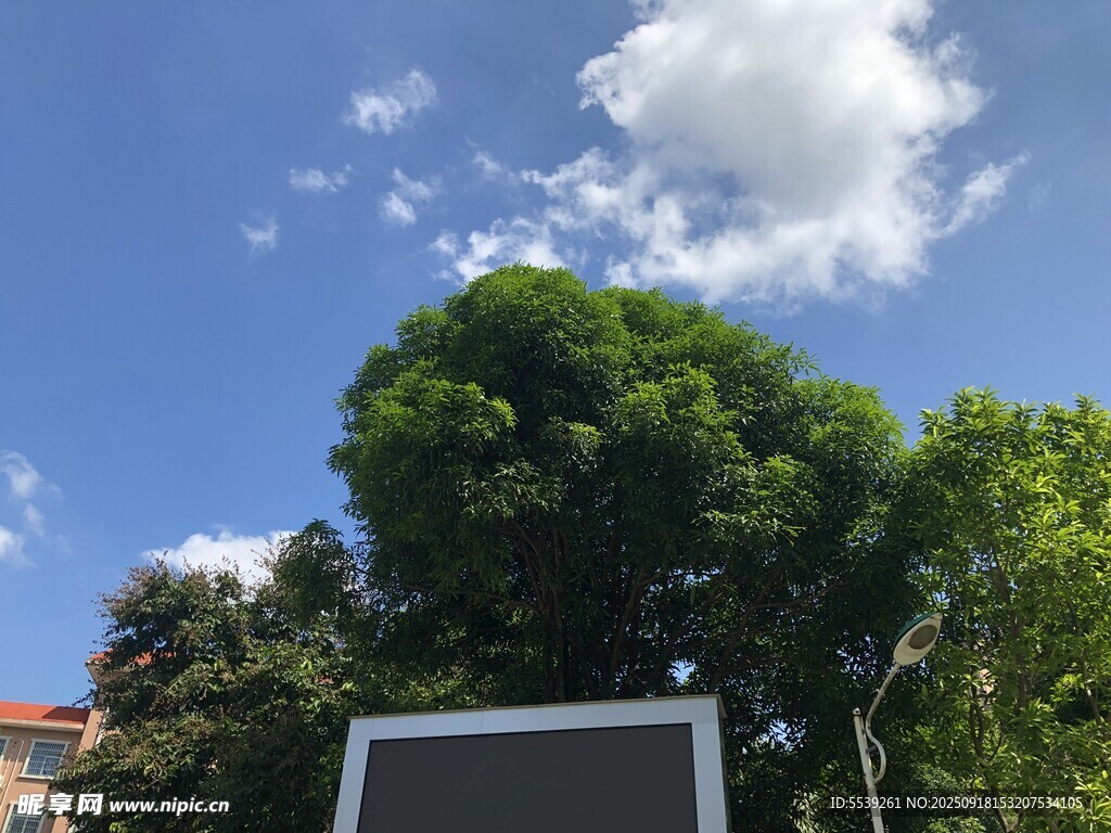 蓝天白云下的绿树与屏幕