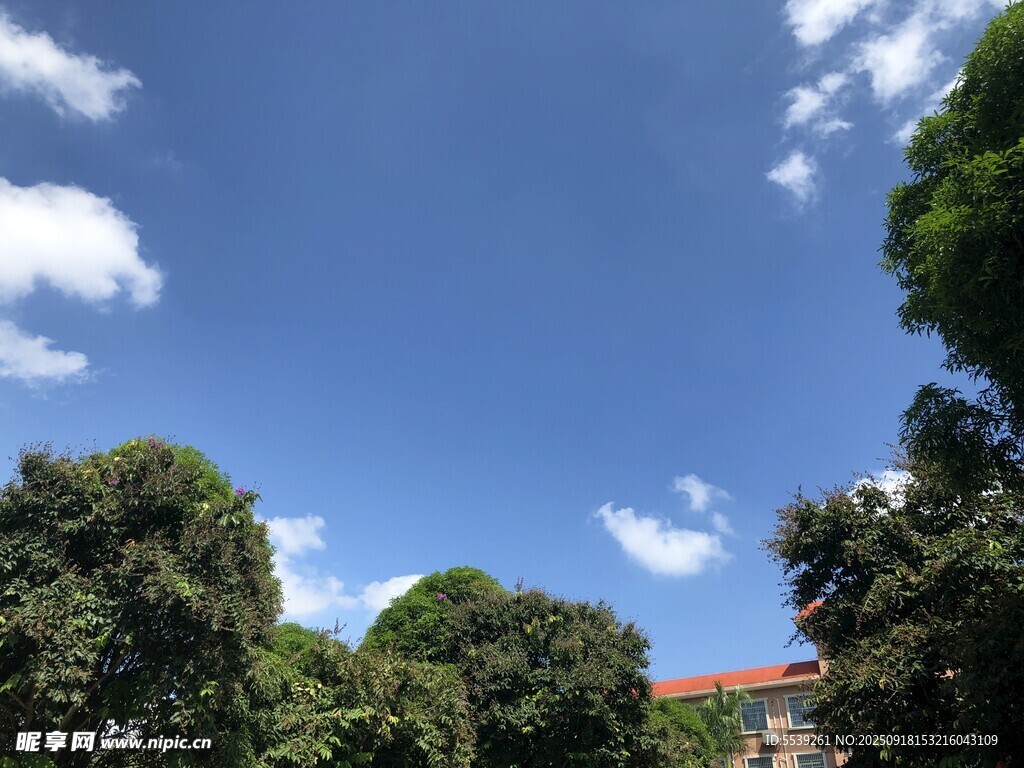 蓝天绿树间的建筑一角