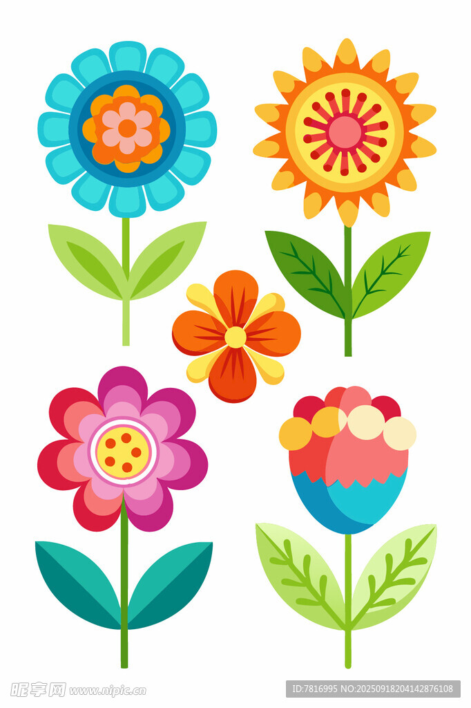 多彩花卉插画