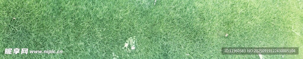 翠绿清新草地纹理