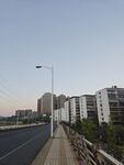 城市道路旁的现代建筑群