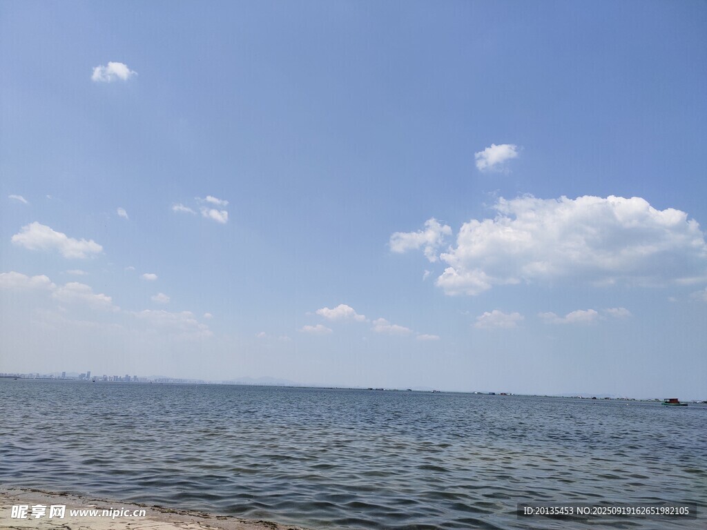 大海