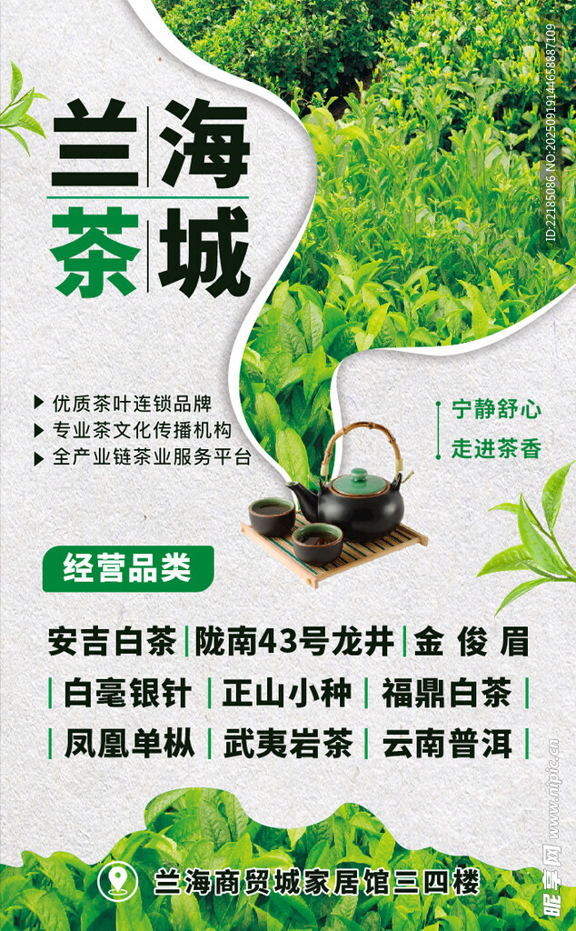 兰海茶城 品味茶香新境地