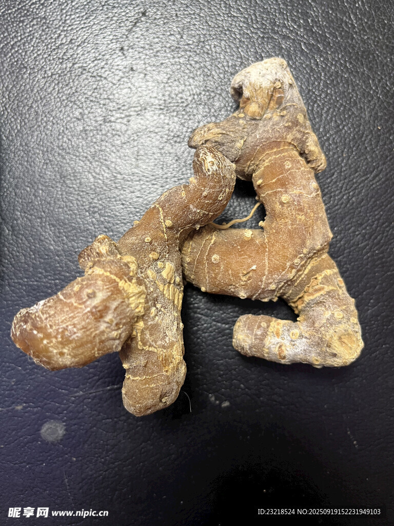 黄精