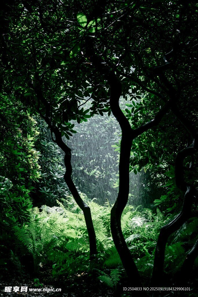 幽森林间的奇幻树木景观