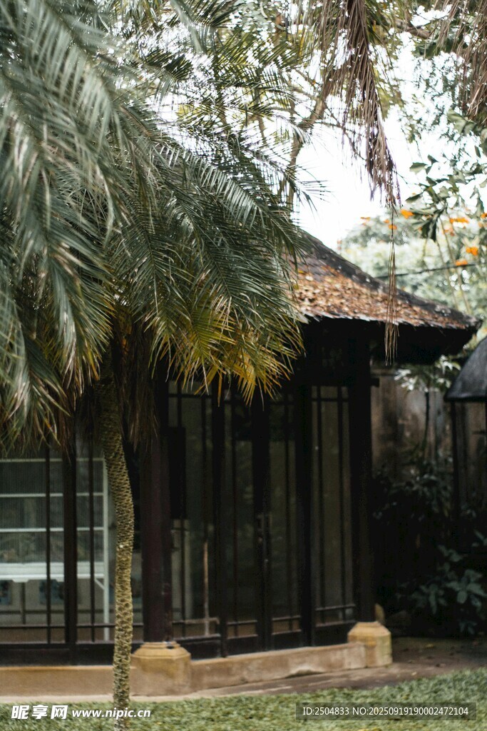 热带风格庭院中的木质小屋