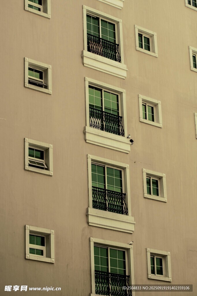现代建筑外立面的窗户景观