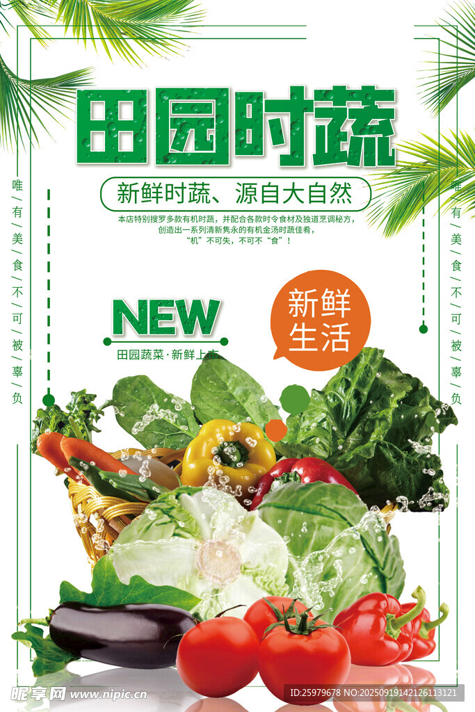 新鲜蔬菜