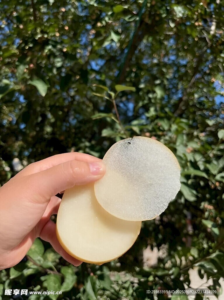 梨片