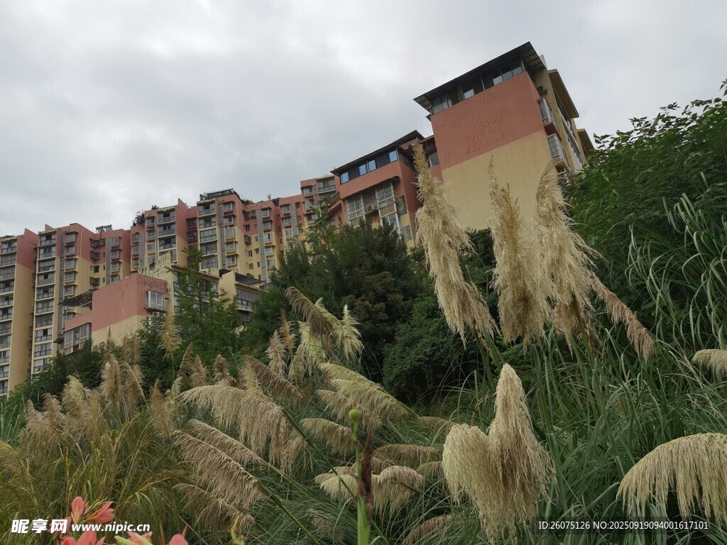 山坡上的多彩建筑群