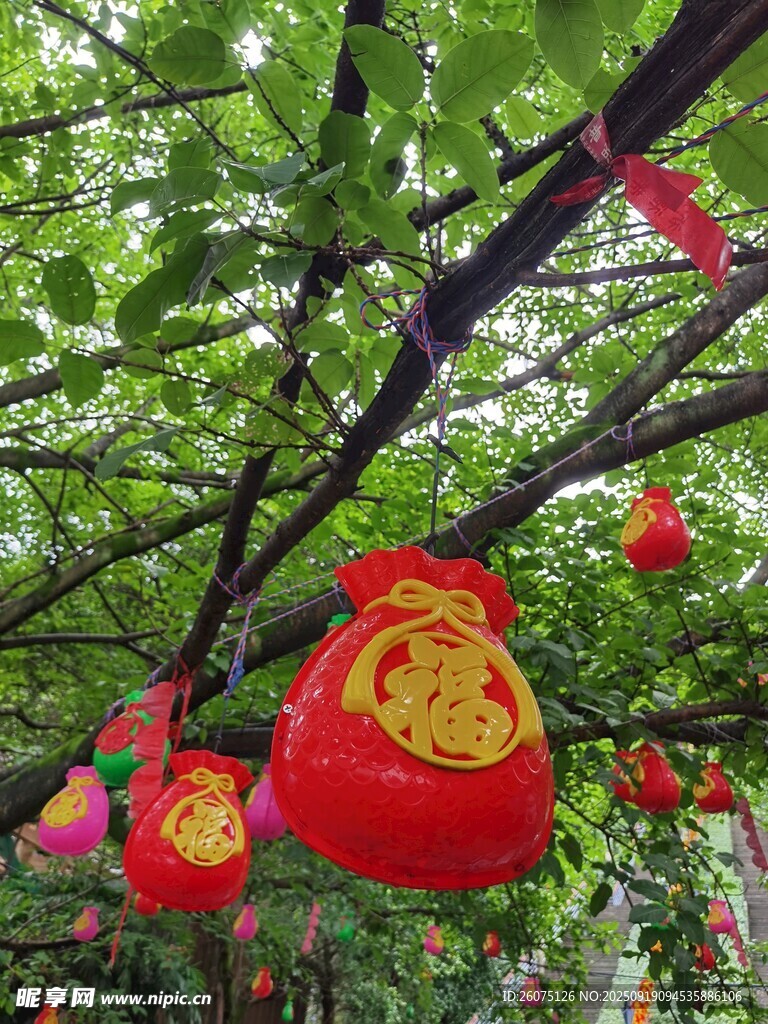 树上挂的喜庆红色灯笼