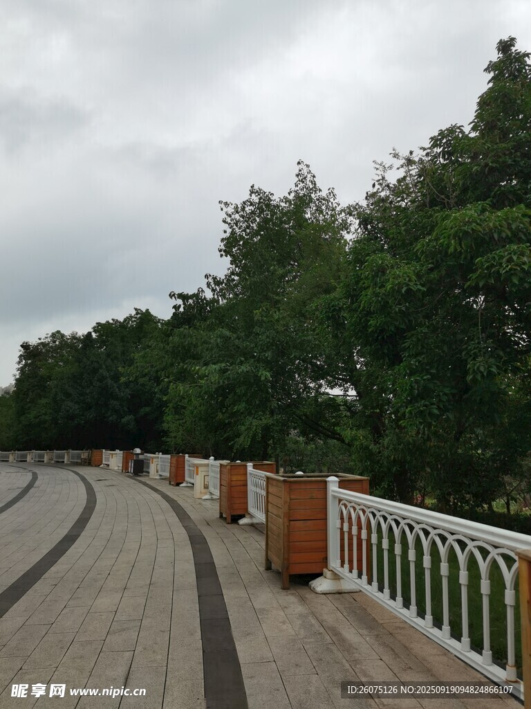 户外木质步道与绿植景观