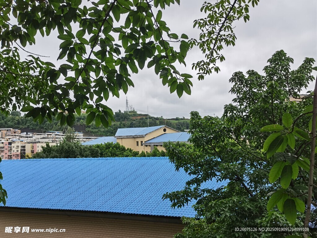 蓝顶建筑隐于绿树间