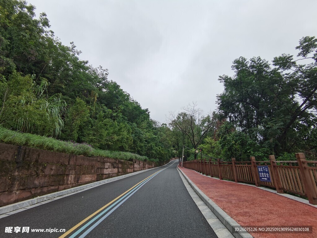 绿树环绕的城市道路