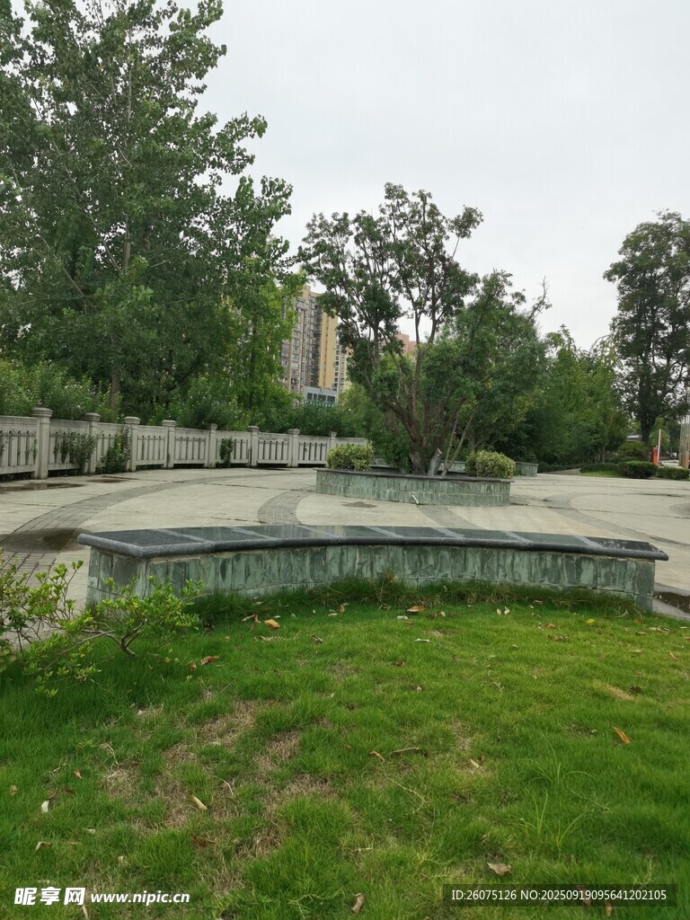 户外绿意盎然的开阔场景