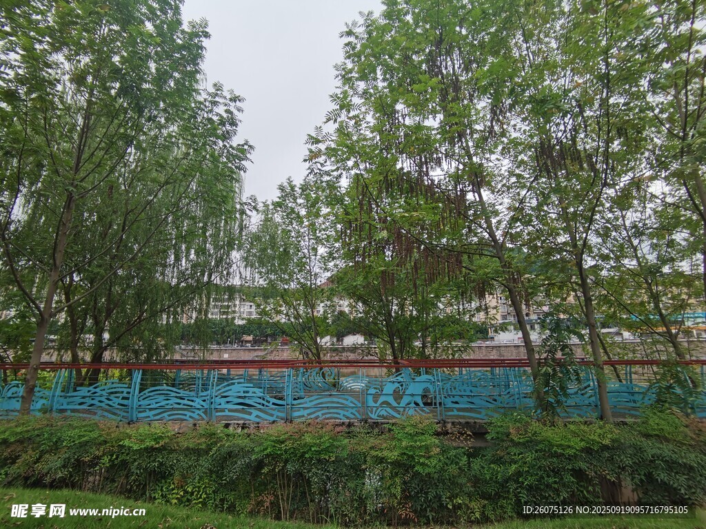 绿树环绕的户外泳池景观