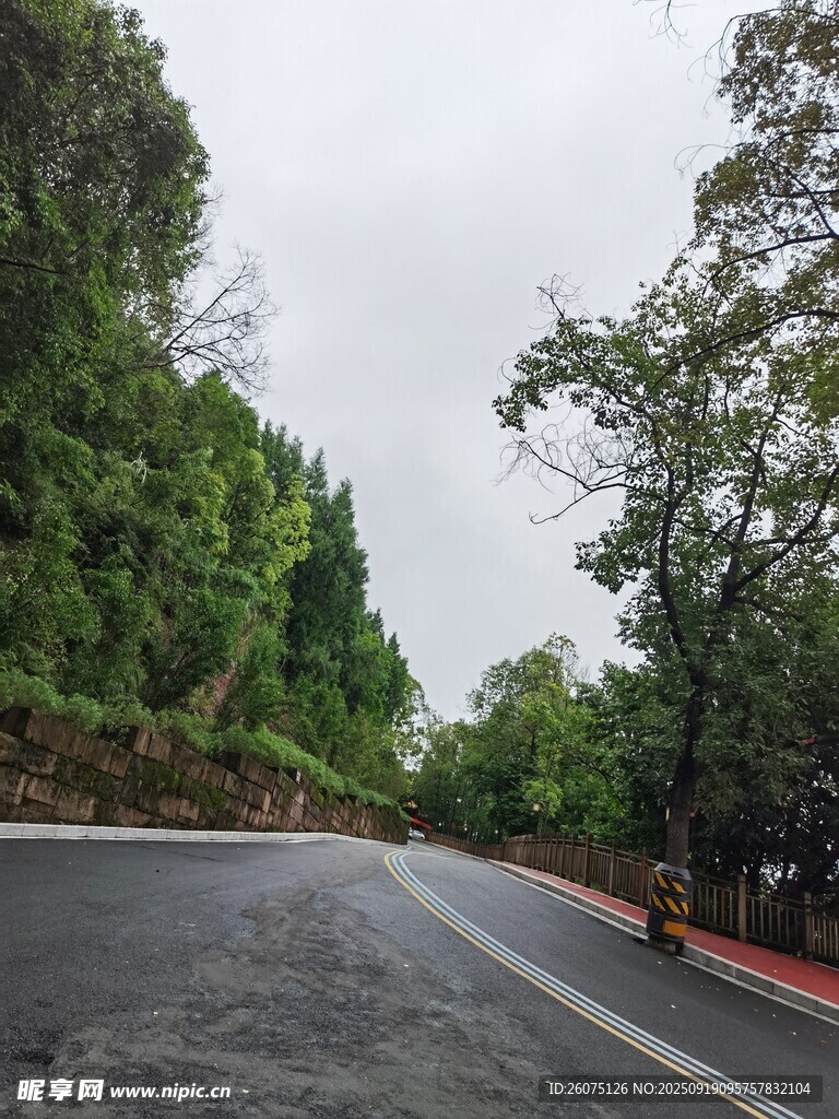 山间公路绿树环绕的景致