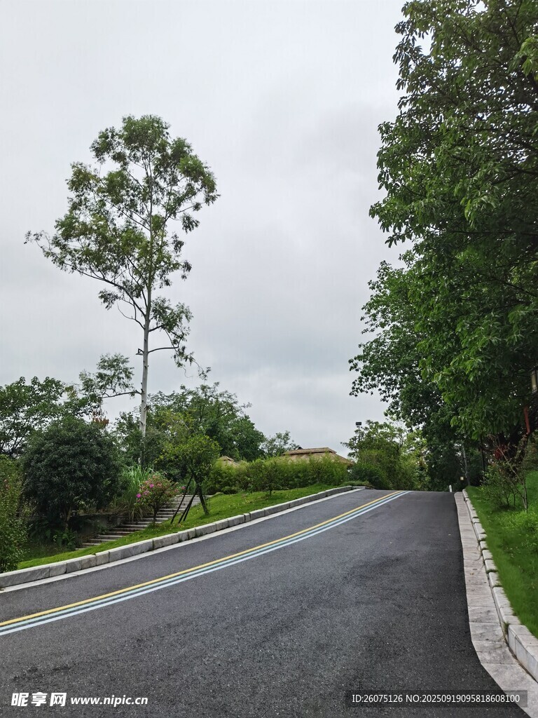乡村蜿蜒公路旁绿树环绕