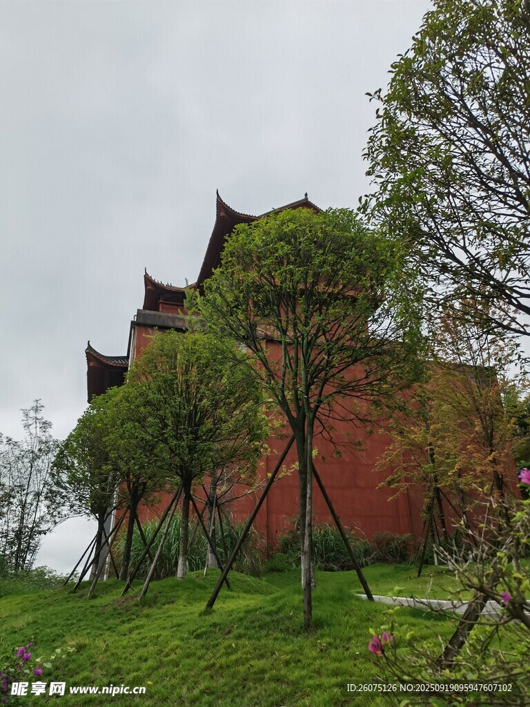 古建红墙隐于绿树之中
