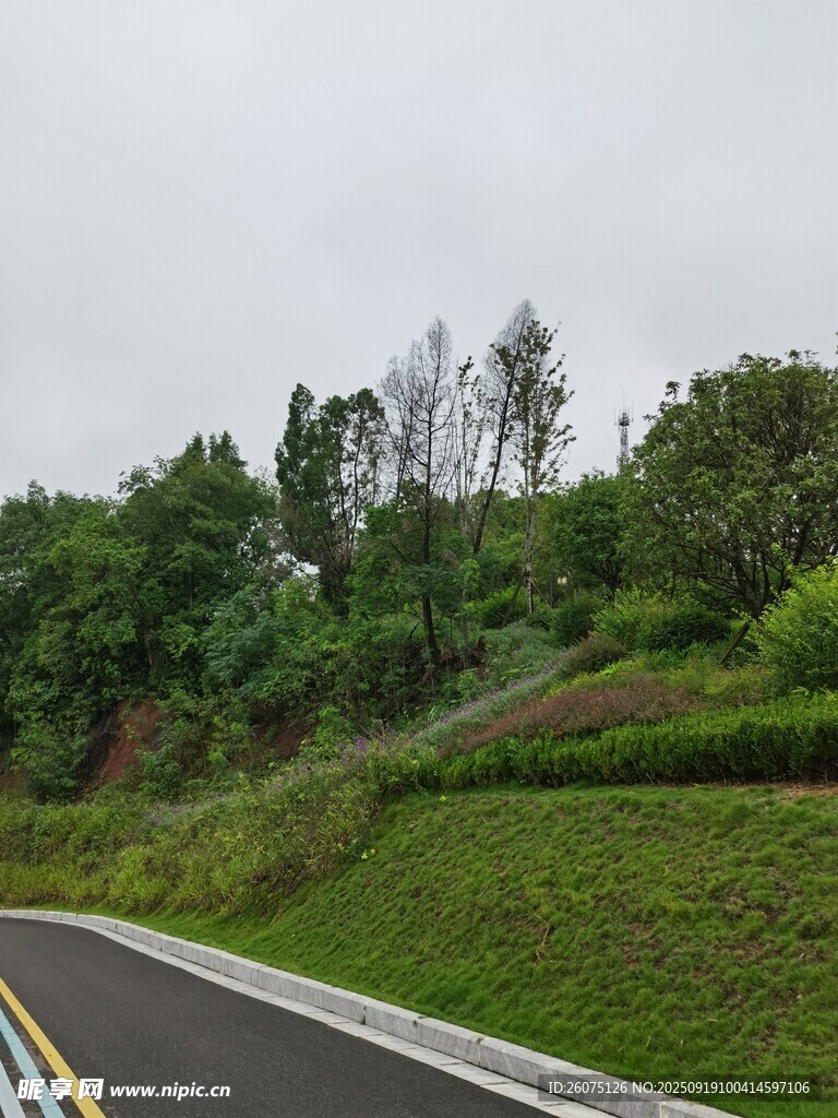 蜿蜒公路旁的绿意景致