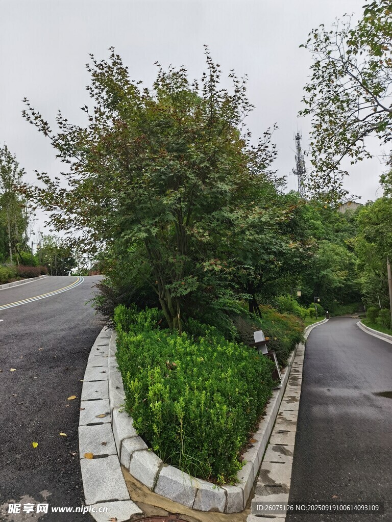 庭院绿植环绕的双车道