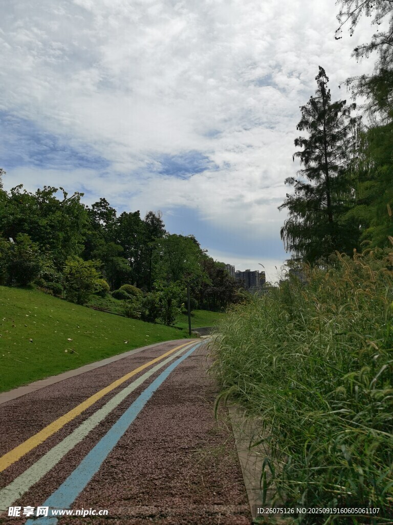 彩色步道旁的绿意风景