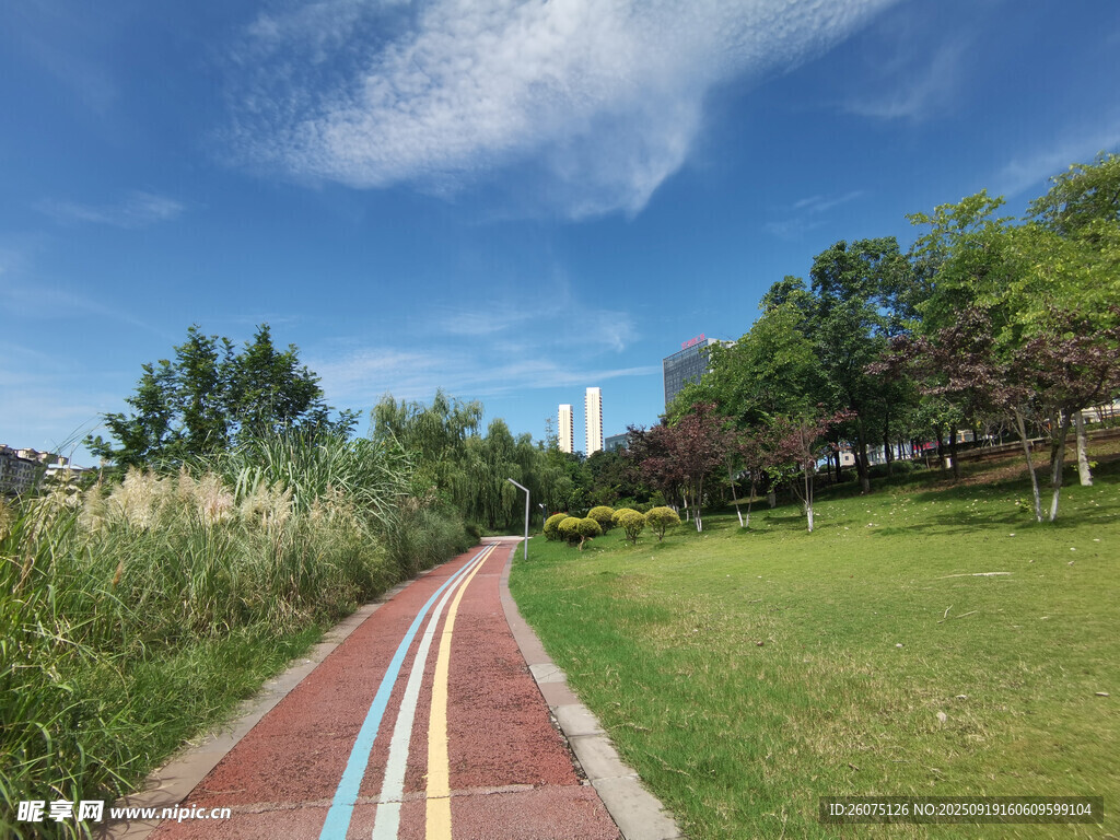 郊外彩色步道旁的自然风景