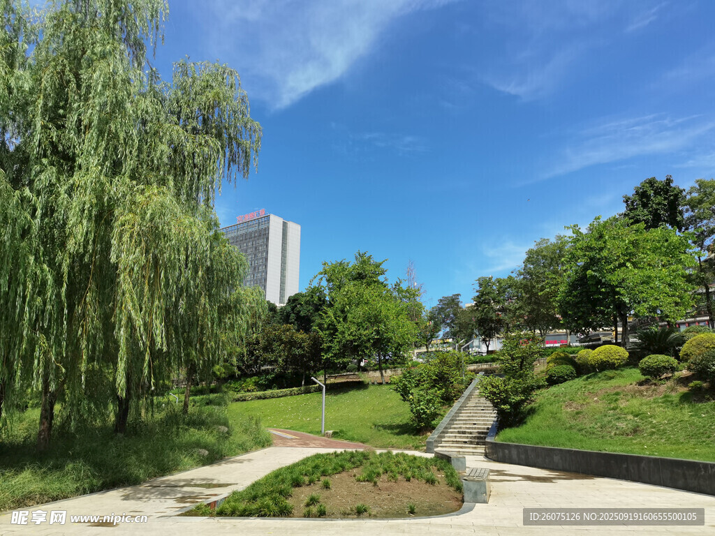 城市中的静谧园林景观