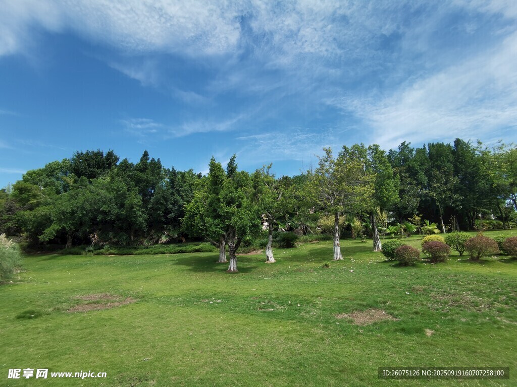 绿意盎然的户外园林景观