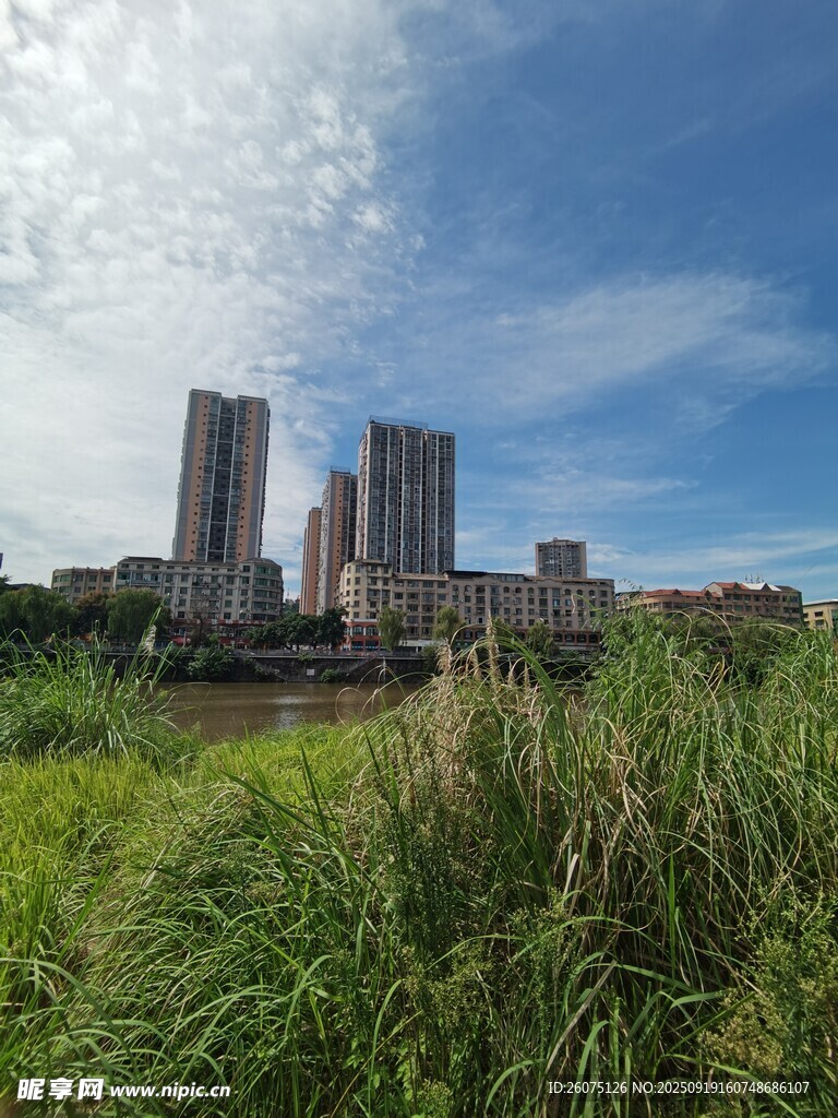 城市与草地相映的风景