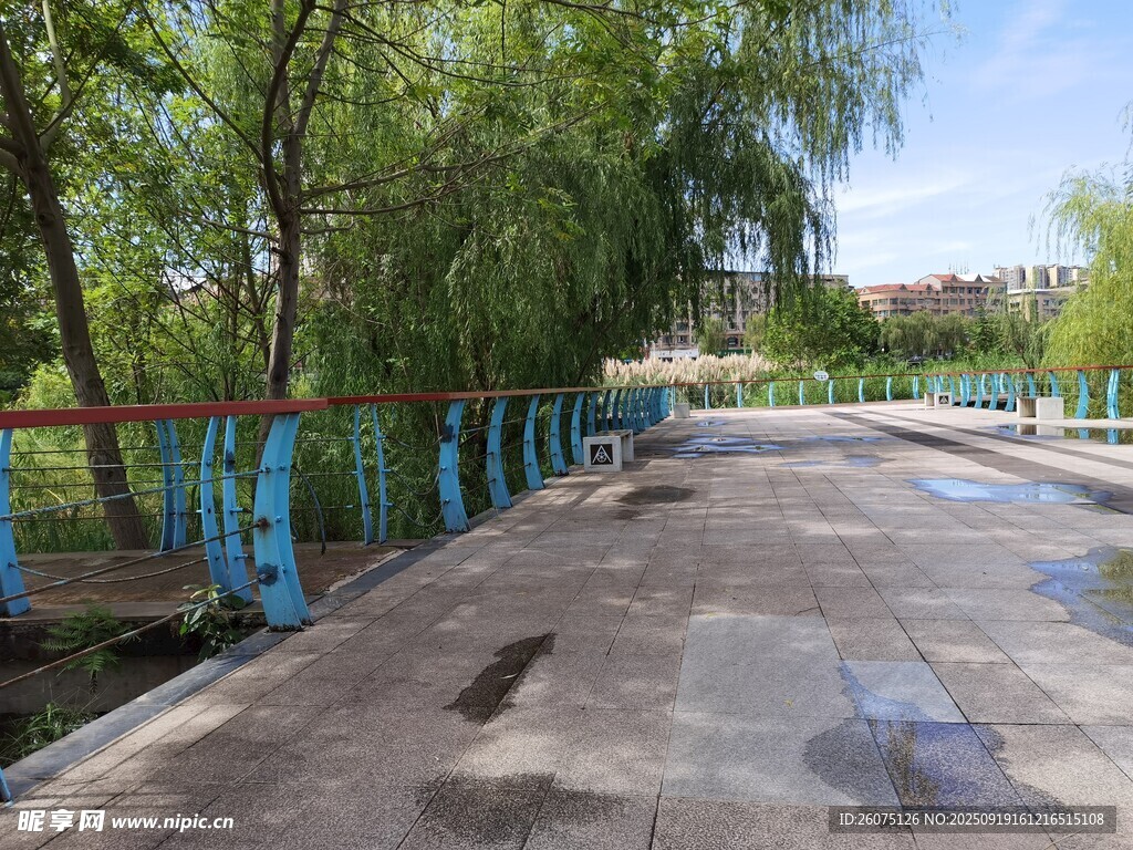 河边空旷道路与葱郁树木