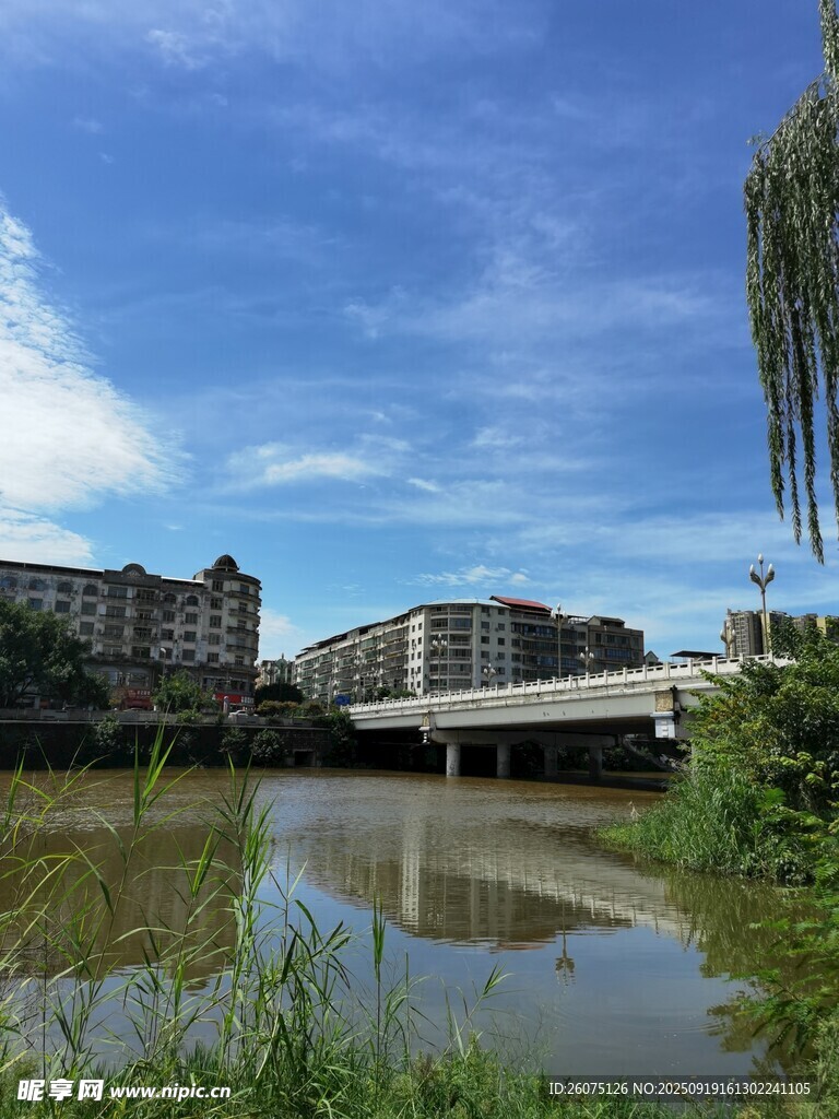 河畔风景城市与自然交融