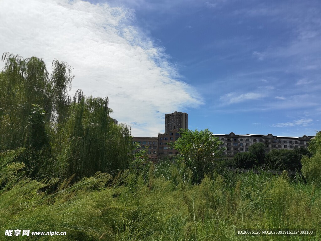 荒野中的古老城堡遗迹