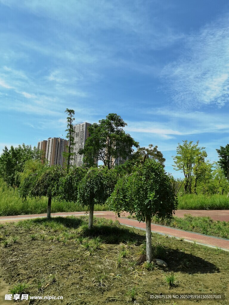 城郊绿意景观